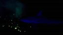 000_001_2037.jpeg