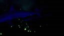 000_001_2038.jpeg