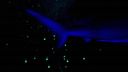 000_001_2040.jpeg