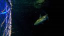 000_001_2044.jpeg