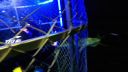 000_001_2063.jpeg