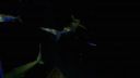 000_001_2065.jpeg