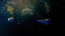 000_001_2069.jpeg