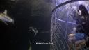 000_001_2071.jpeg