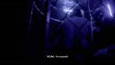 000_001_2081.jpeg