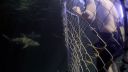 000_001_2101.jpeg