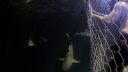 000_001_2103.jpeg