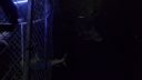 000_001_2105.jpeg
