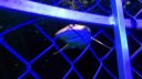 000_001_2110.jpeg