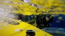 000_001_2296.jpeg