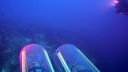 000_001_2369.jpeg