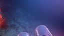 000_001_2388.jpeg