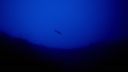 000_001_2399.jpeg