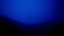000_001_2400.jpeg