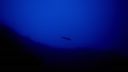 000_001_2402.jpeg