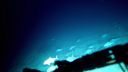 000_001_2419.jpeg