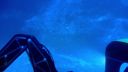 000_001_2432.jpeg