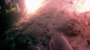 000_001_2433.jpeg