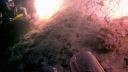 000_001_2435.jpeg