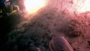 000_001_2436.jpeg