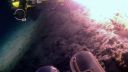 000_001_2448.jpeg