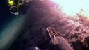 000_001_2449.jpeg