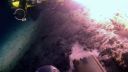 000_001_2451.jpeg