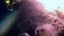 000_001_2458.jpeg