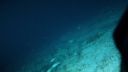 000_001_2520.jpeg