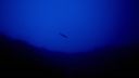 000_001_2612.jpeg