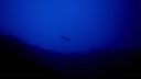 000_001_2613.jpeg