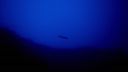 000_001_2614.jpeg
