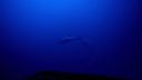000_001_2615.jpeg