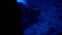 000_001_2619.jpeg