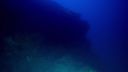 000_001_2629.jpeg
