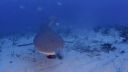 Filename=000_001_2755.jpeg
Filesize=270KiB
Dimensions=1920x1088
Date added=Apr 22, 2026 000_001_2755.jpeg
