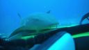 000_001_2838.jpeg
