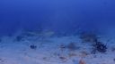Filename=000_001_2852.jpeg
Filesize=352KiB
Dimensions=1920x1088
Date added=Apr 22, 2026 000_001_2852.jpeg
