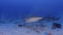 Filename=000_001_2854.jpeg
Filesize=361KiB
Dimensions=1920x1088
Date added=Apr 22, 2026 000_001_2854.jpeg