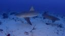 Filename=000_001_2898.jpeg
Filesize=226KiB
Dimensions=1920x1088
Date added=Apr 22, 2026 000_001_2898.jpeg