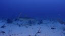 Filename=000_001_2900.jpeg
Filesize=308KiB
Dimensions=1920x1088
Date added=Apr 22, 2026 000_001_2900.jpeg