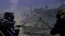000_001_2927.jpeg