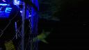 000_001_2931.jpeg