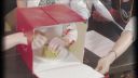 000_001_0105.jpeg