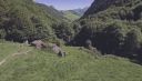 000_001_0018.jpeg