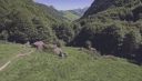 000_001_0019.jpeg