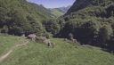 000_001_0020.jpeg