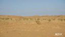 000_001_0138.jpeg