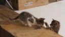 000_001_0134.jpeg