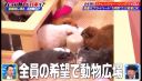 000_001_0041.jpeg